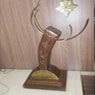 Thakkar Bappa Award